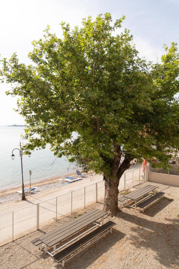 Loggos Apartments لونغوس المظهر الخارجي الصورة